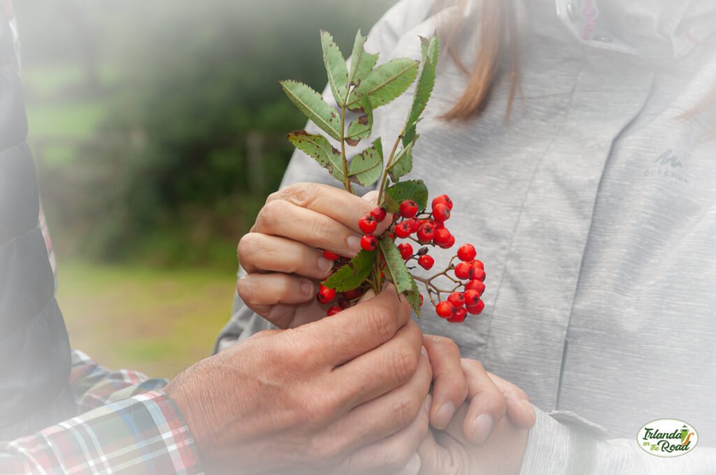 Vacanza in Irlanda - pacchetti e tour guidati